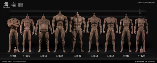 World Box - AT030 - Durable Strong Body AT030