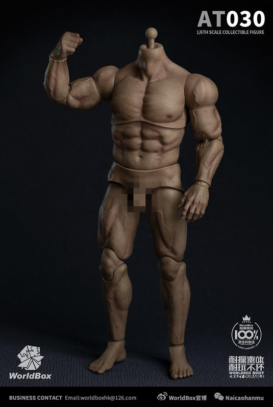 World Box - AT030 - Durable Strong Body AT030