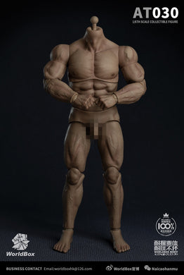 World Box - AT030 - Durable Strong Body AT030