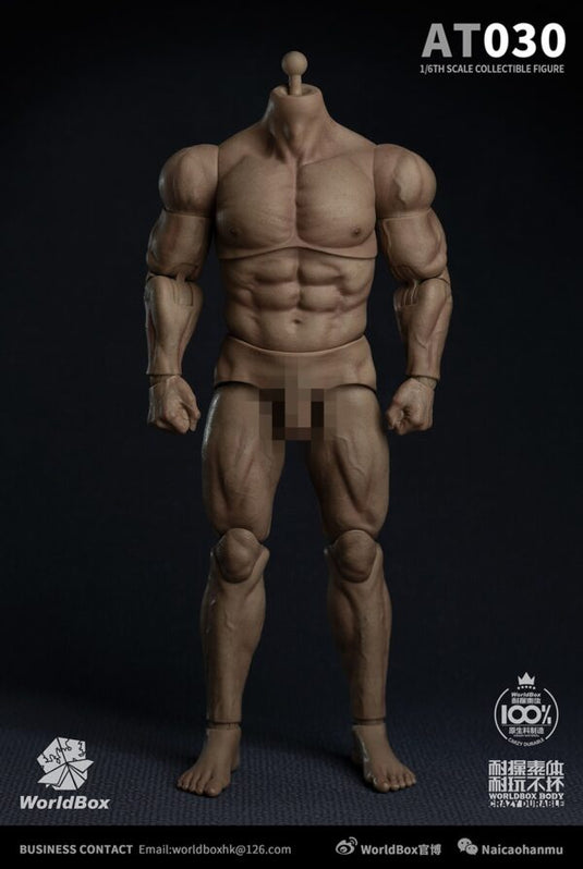World Box - AT030 - Durable Strong Body AT030