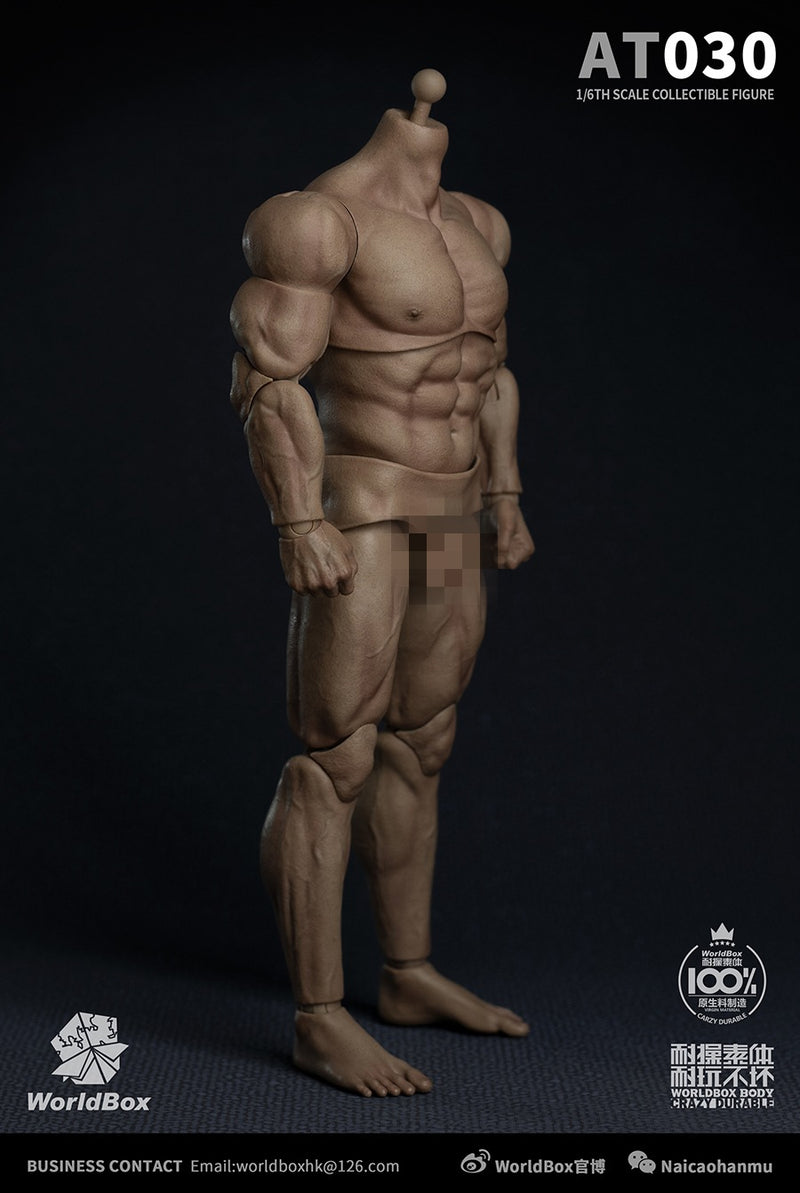 Load image into Gallery viewer, World Box - AT030 - Durable Strong Body AT030
