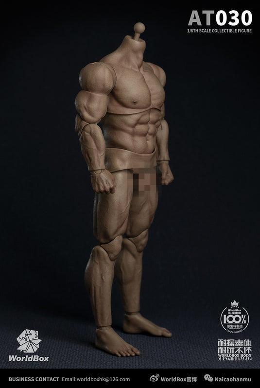 World Box - AT030 - Durable Strong Body AT030