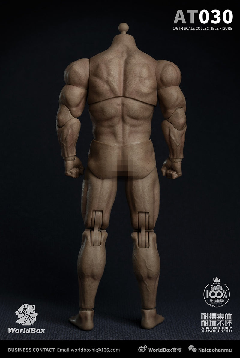 Load image into Gallery viewer, World Box - AT030 - Durable Strong Body AT030
