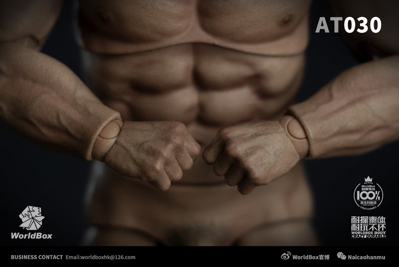 Load image into Gallery viewer, World Box - AT030 - Durable Strong Body AT030
