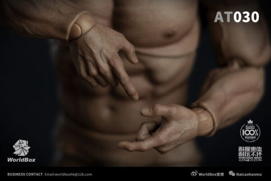 World Box - AT030 - Durable Strong Body AT030