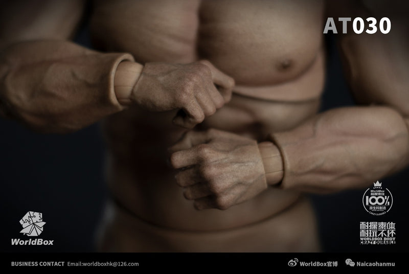 Load image into Gallery viewer, World Box - AT030 - Durable Strong Body AT030
