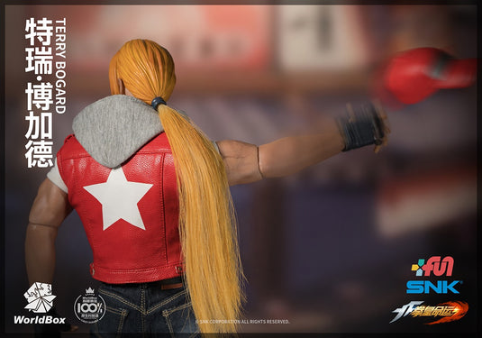 World Box - The King of Fighters Terry Bogard