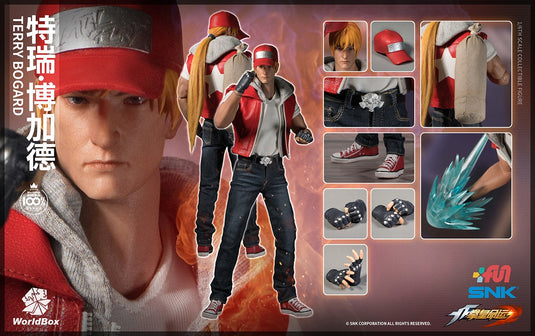 World Box - The King of Fighters Terry Bogard