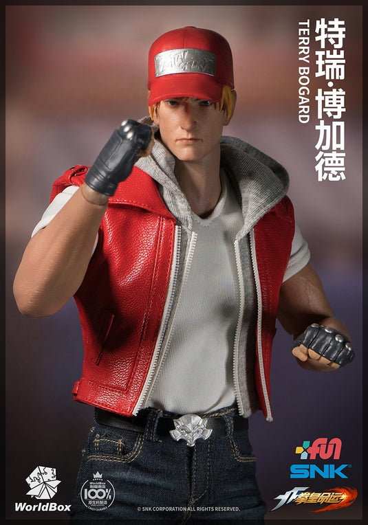 World Box - The King of Fighters Terry Bogard