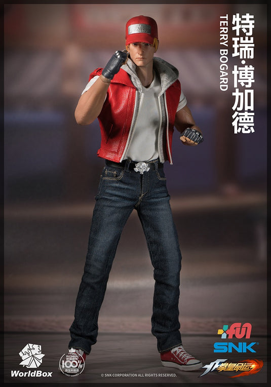 World Box - The King of Fighters Terry Bogard