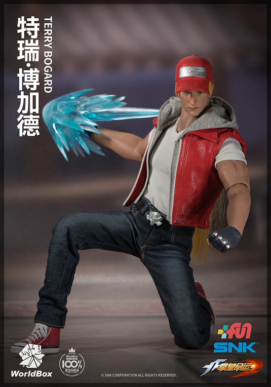 World Box - The King of Fighters Terry Bogard