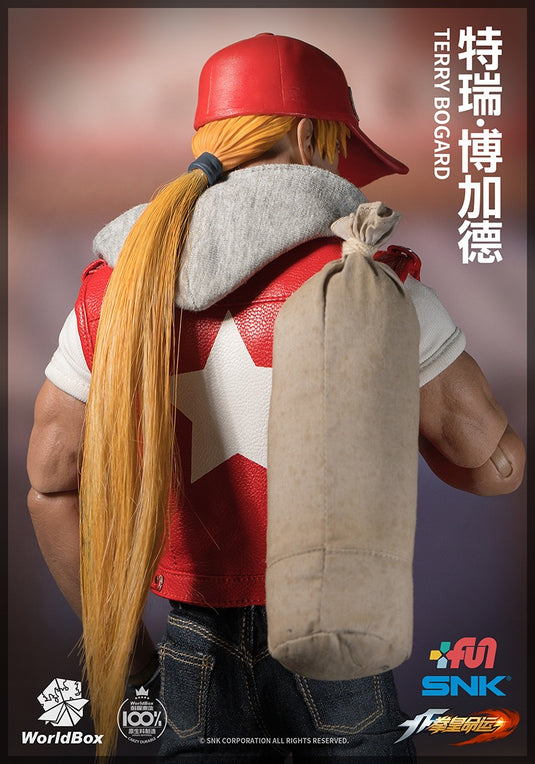 World Box - The King of Fighters Terry Bogard