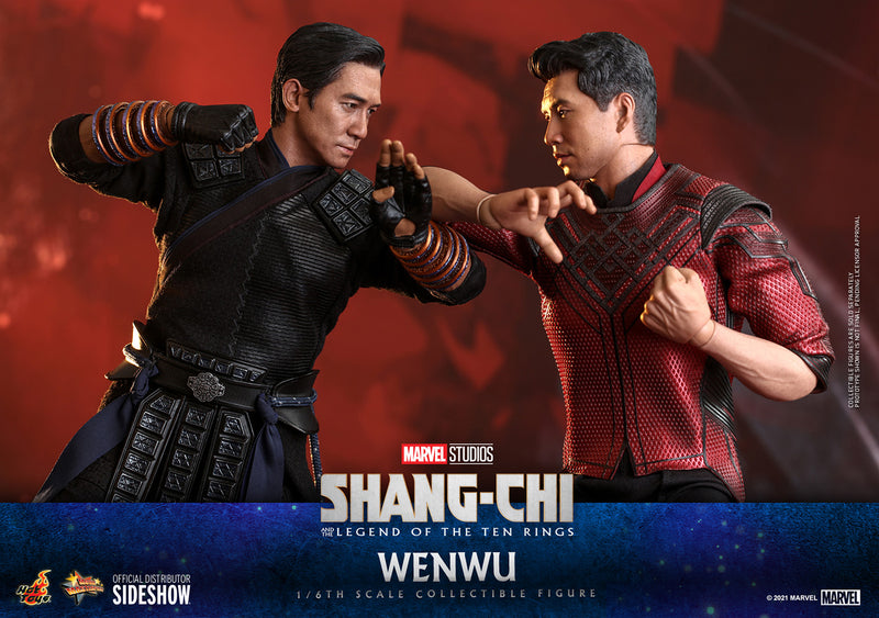 Load image into Gallery viewer, Hot Toys - Shang-Chi: Wenwu
