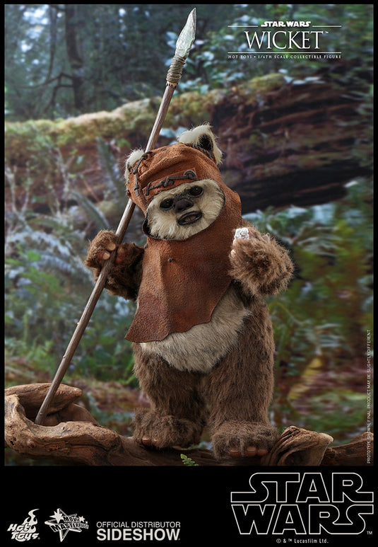 Hot Toys - Star Wars: Return of the Jedi - Wicket