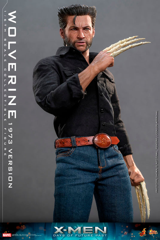 Hot Toys - X-Men Days of Future Past: Wolverine (1973 Version)
